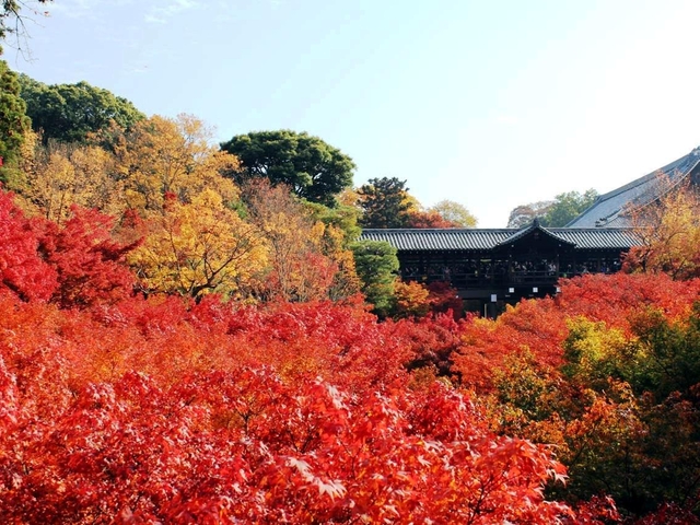 東福寺 / 東山・祇園・北白川