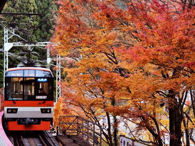 叡電きらら (叡山電鉄) / 八瀬・大原・貴船・鞍馬