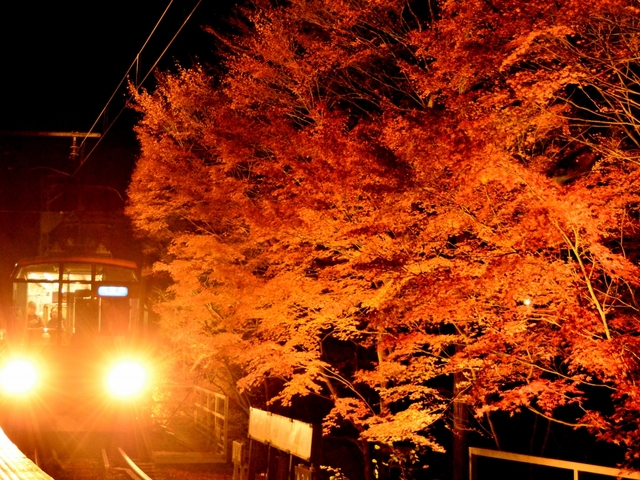 叡電きらら (叡山電鉄) / 八瀬・大原・貴船・鞍馬