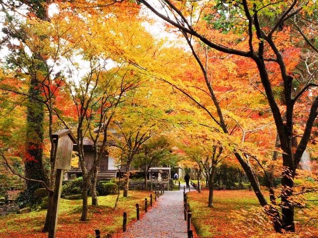三千院 / 八瀬・大原・貴船・鞍馬