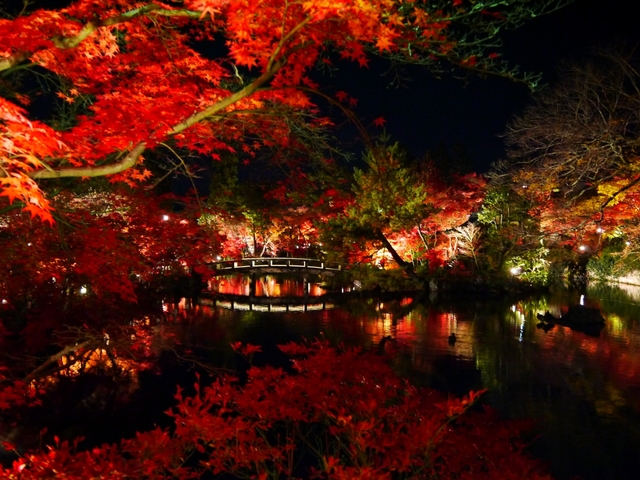 永観堂(禅林寺) / 下鴨・宝ヶ池・平安神宮