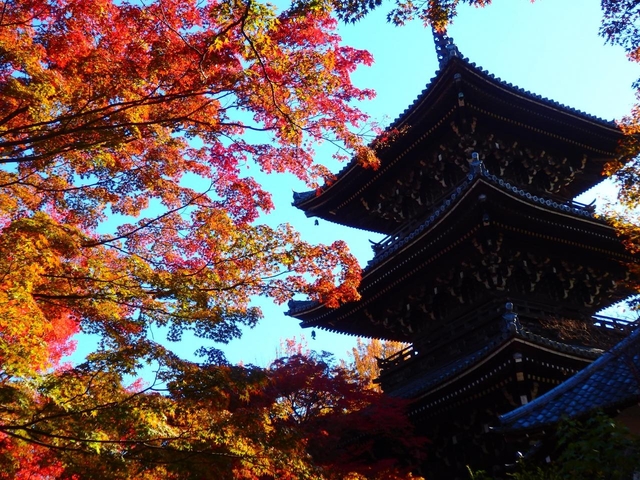 真如堂(真正極楽寺) / 下鴨・宝ヶ池・平安神宮