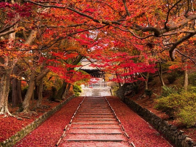 毘沙門堂 / 山科