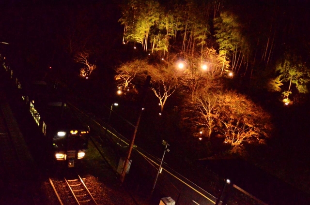 嵯峨野トロッコ列車 / 嵐山・嵯峨野・太秦・桂