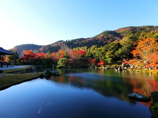 天龍寺 / 嵐山・嵯峨野・太秦・桂