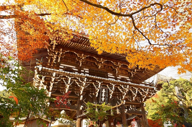 善峯寺 / 嵐山・嵯峨野・太秦・桂