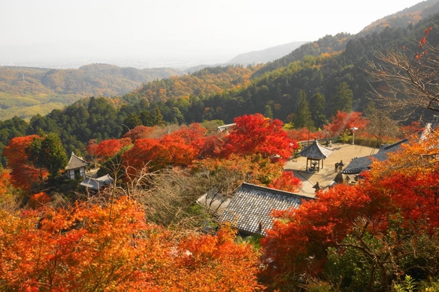 善峯寺 / 嵐山・嵯峨野・太秦・桂