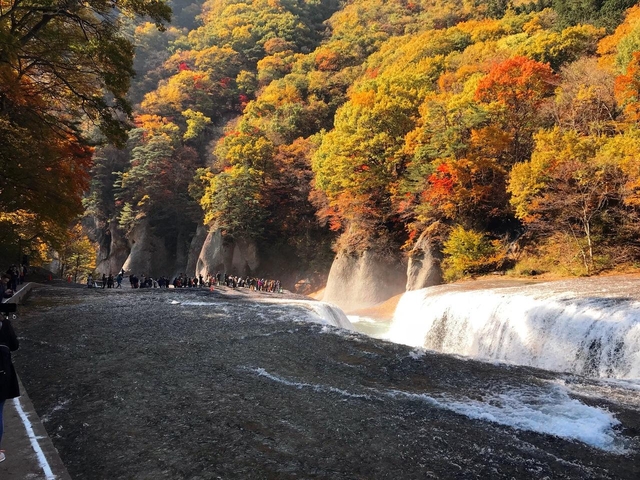 9. ”東洋のナイアガラ”「吹割の滝」のダイナミックな紅葉 / 群馬　沼田市 