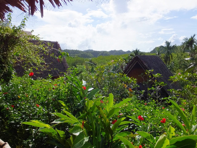 3. パラオ プランテーション リゾート