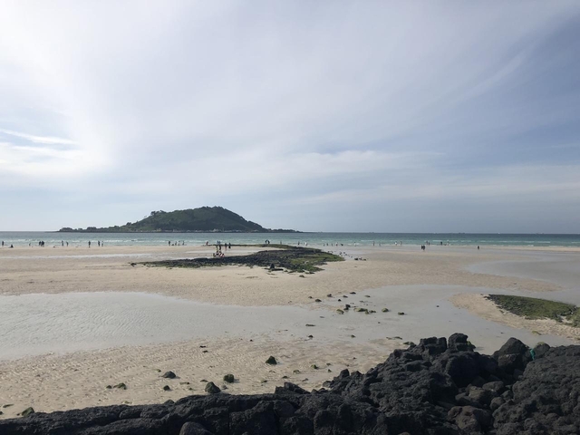 済州島に行ってみたくなりましたか？