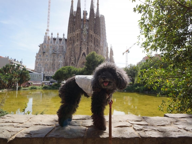 サグラダ ファミリアを紹介しました。