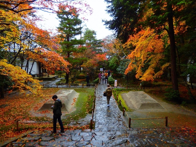 法然院 (哲学の道付近)  / 下鴨・宝ヶ池・平安神宮