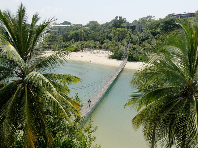 パラワンビーチ