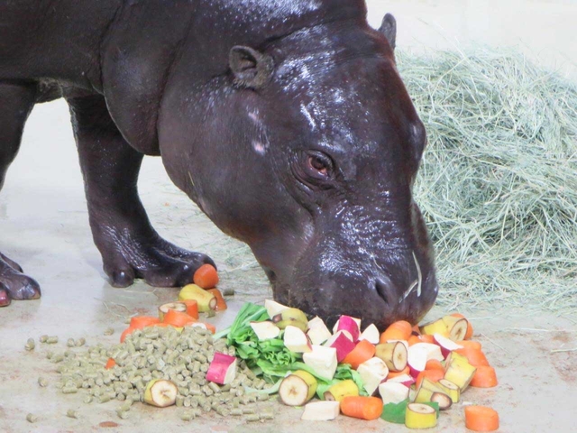 4. いしかわ動物園 / 石川県