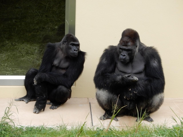 5. 名古屋市東山動植物園 / 愛知県