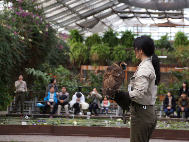 9. 神戸どうぶつ王国 / 兵庫県