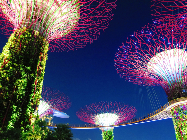 大迫力の噴水ショー「スペクトラ」を鑑賞