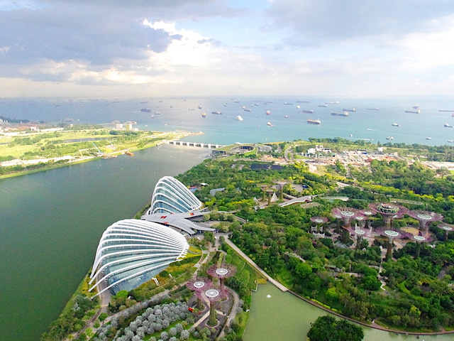 巨大な植物園「ガーデンズ バイ ザ ベイ」へ