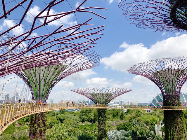 巨大な植物園「ガーデンズ バイ ザ ベイ」へ