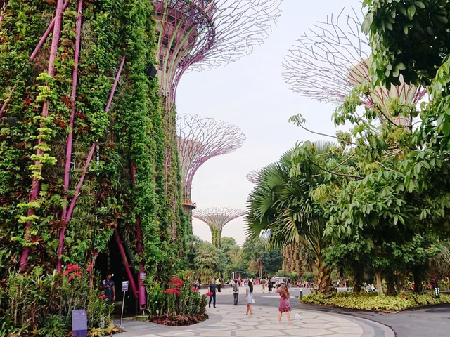 巨大な植物園「ガーデンズ バイ ザ ベイ」へ