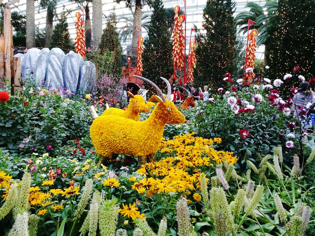 美しい花が咲きほこるフォトジェニックなスポット