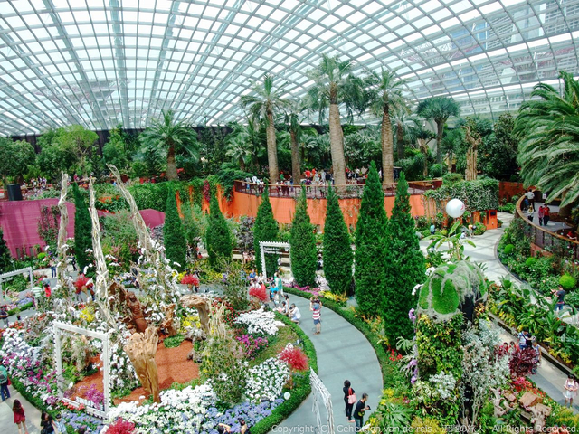 美しい花が咲きほこるフォトジェニックなスポット