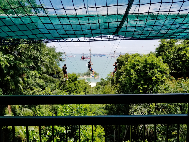 大人もはまる絶叫体験「メガジップ アドベンチャー パーク」