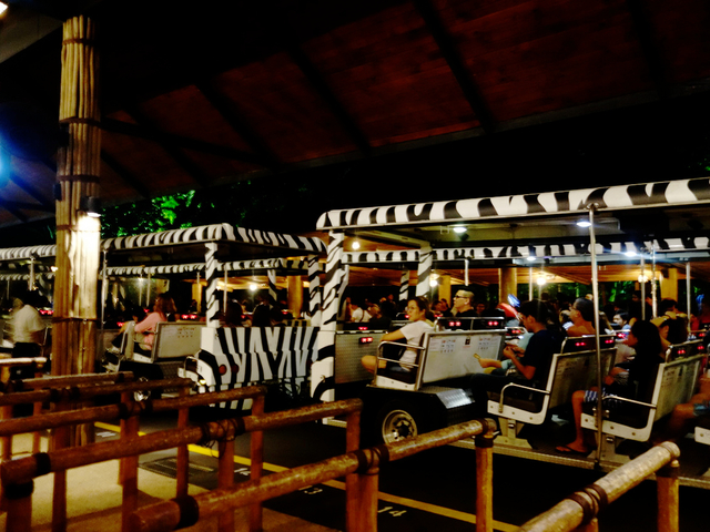 市内に戻って、夜の動物を見に「ナイトサファリ」へ