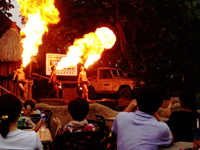 市内に戻って、夜の動物を見にナイトサファリへ