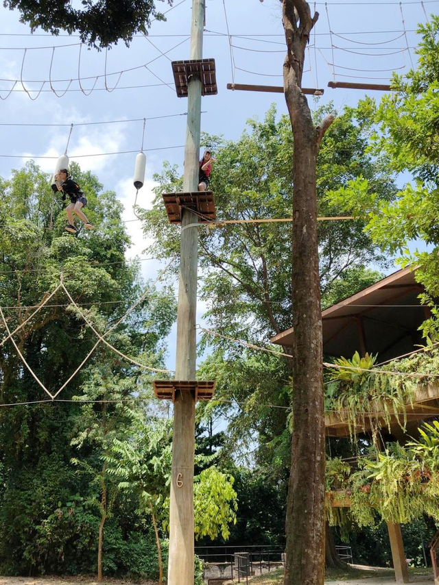 大人もはまる絶叫体験「メガジップ アドベンチャー パーク」