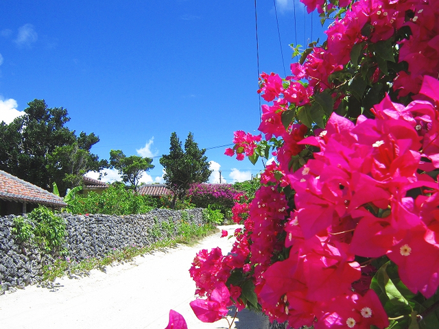 欲しい沖縄お土産は見つかりましたか？