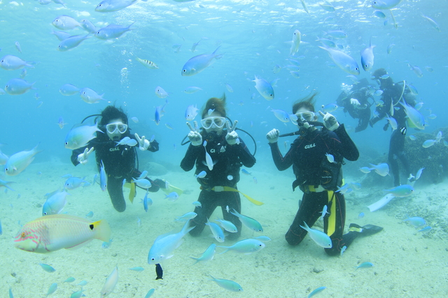 感動体験シュノーケルツアーやダイビング
