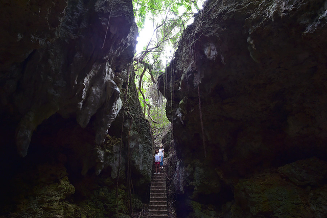 ディスカバリーツアー