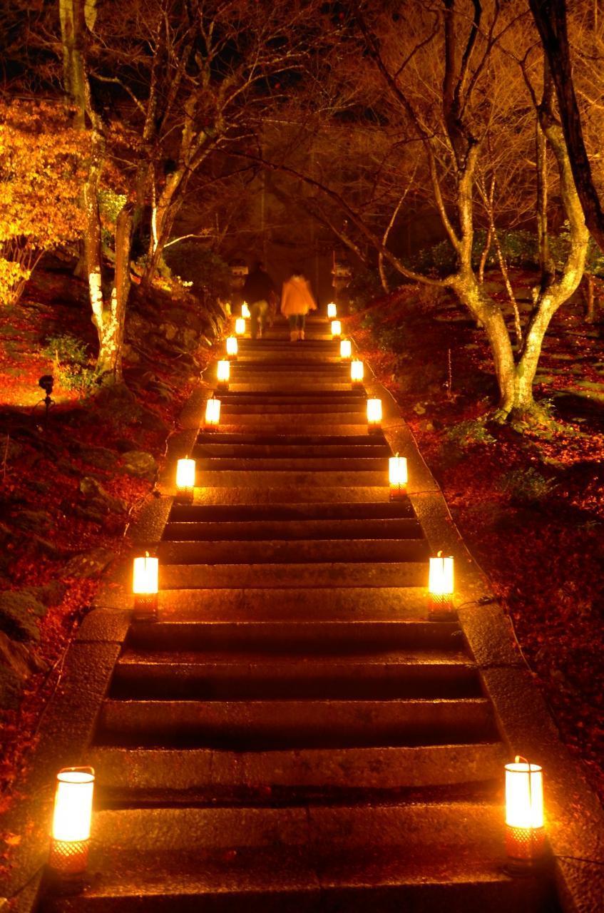 日本の冬は美しい 冬の京都で訪れるべき絶景スポット トラベルマガジン