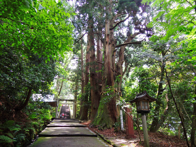 白山比咩神社 (白山ひめ神社)