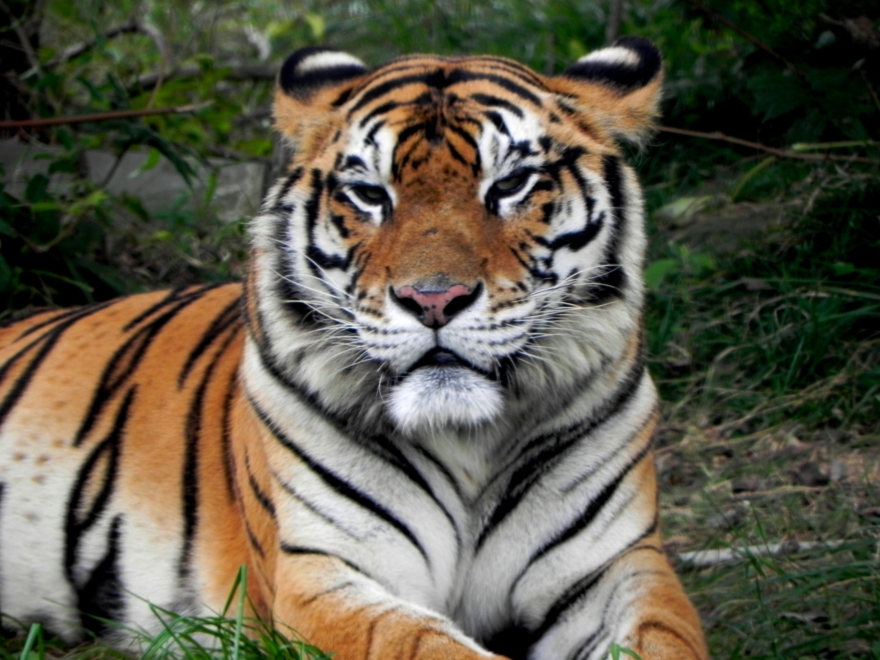 【山口県】秋吉台サファリランド