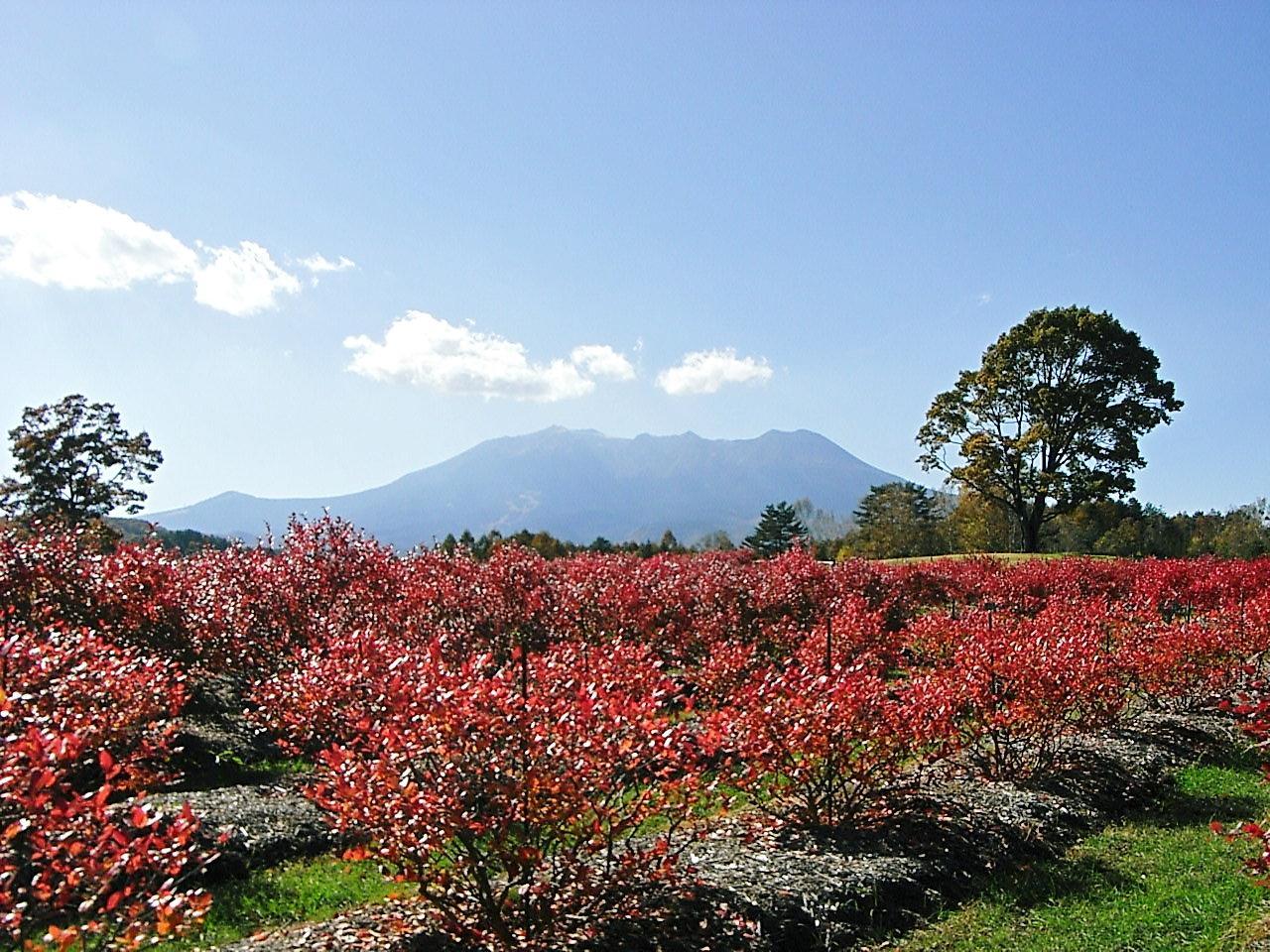 【長野県】開田高原