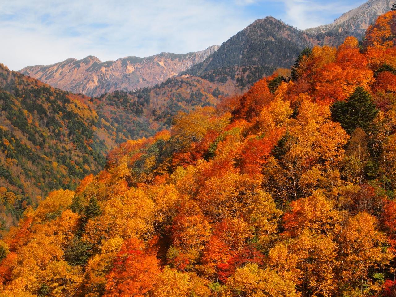 なんて艶やか 国内の紅葉絶景スポット12選 トラベルマガジン