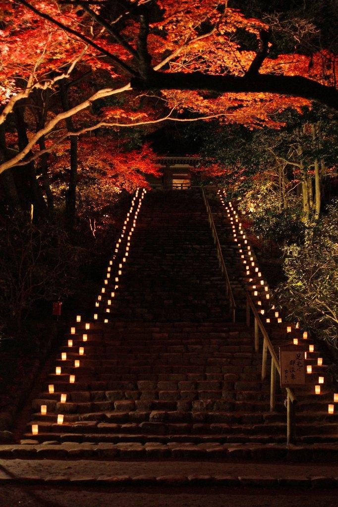 【奈良県】室生寺