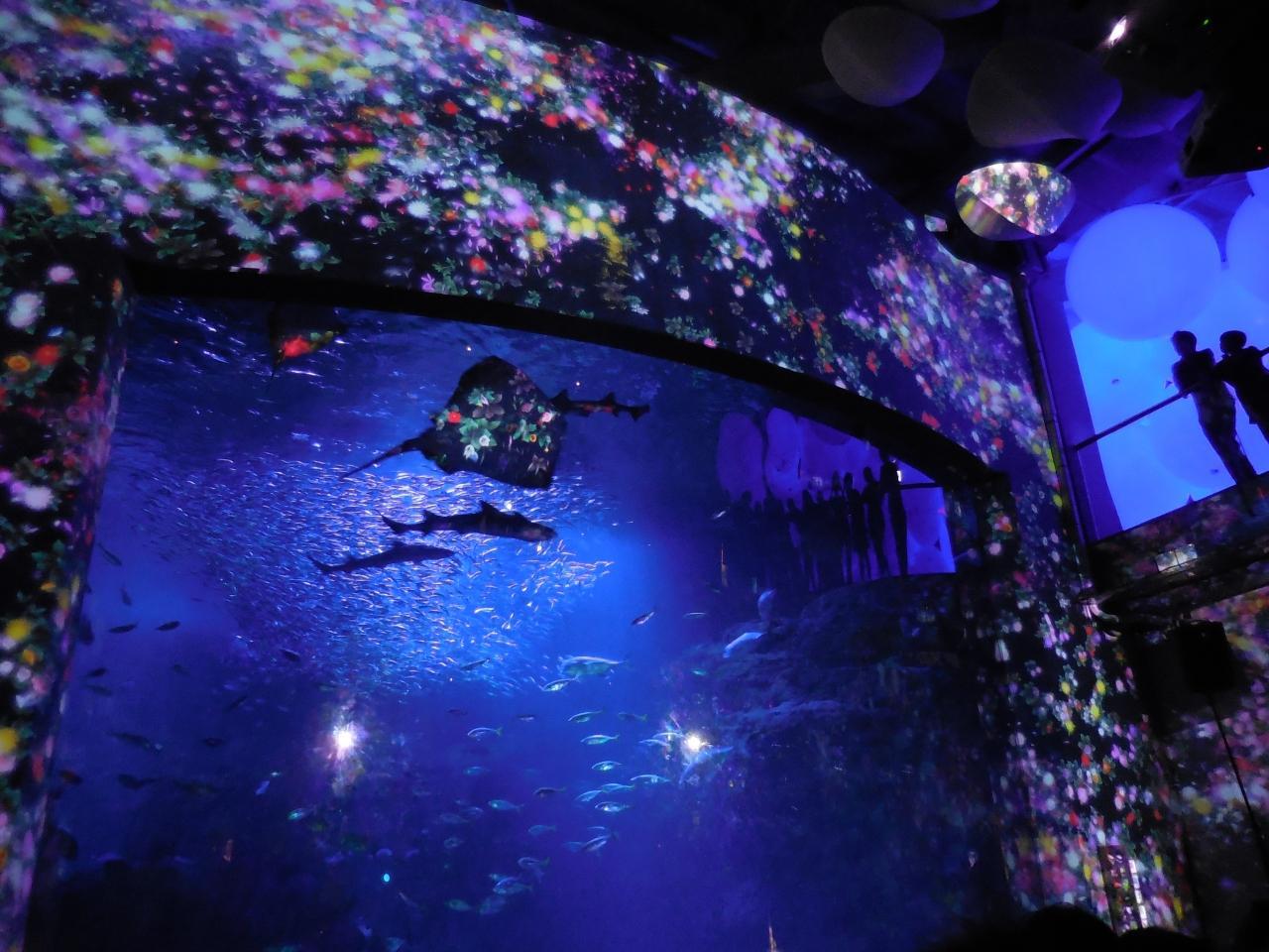 新江ノ島水族館/ 神奈川県