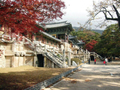 慶州「世界遺産」と釜山市内観光 1日ツアー（仏国寺＋石窟庵）＜釜山発＞