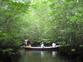 【バリ島発・レンボンガン島ツアー】シュノーケリング＋マングローブツアー☆ SUP＋スパ＋ディナー付の凝縮プラン有！＜終日／ホテル送迎／インドネシア料理ランチ付＞