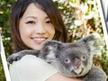 世界遺産グリーン島クルーズ&ハートリーズ・クロコダイル・アドベンチャーズ★コアラ抱っこプランあり＜日本語ガイド＞ by どきどきツアーズ