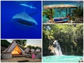 ジンベイザメと泳ぐツアー シュノーケリング＋スミロン島にてグランピング  カワサンの滝キャニオニング付きプラン有＜1泊2日／現地ガイド可＞