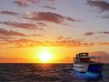ナ・パリ・コースト　サンセットクルージング＆シュノーケリングツアー　イミロア号＜4時間／6～9月／夕食付き／英語ガイド＞