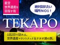 テカポ観光 １泊２日（クイーンズタウン発～マウントクック経由～テカポ泊～クライストチャーチ着）