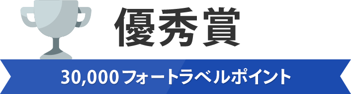 優秀賞 30,000フォートラベルポイント